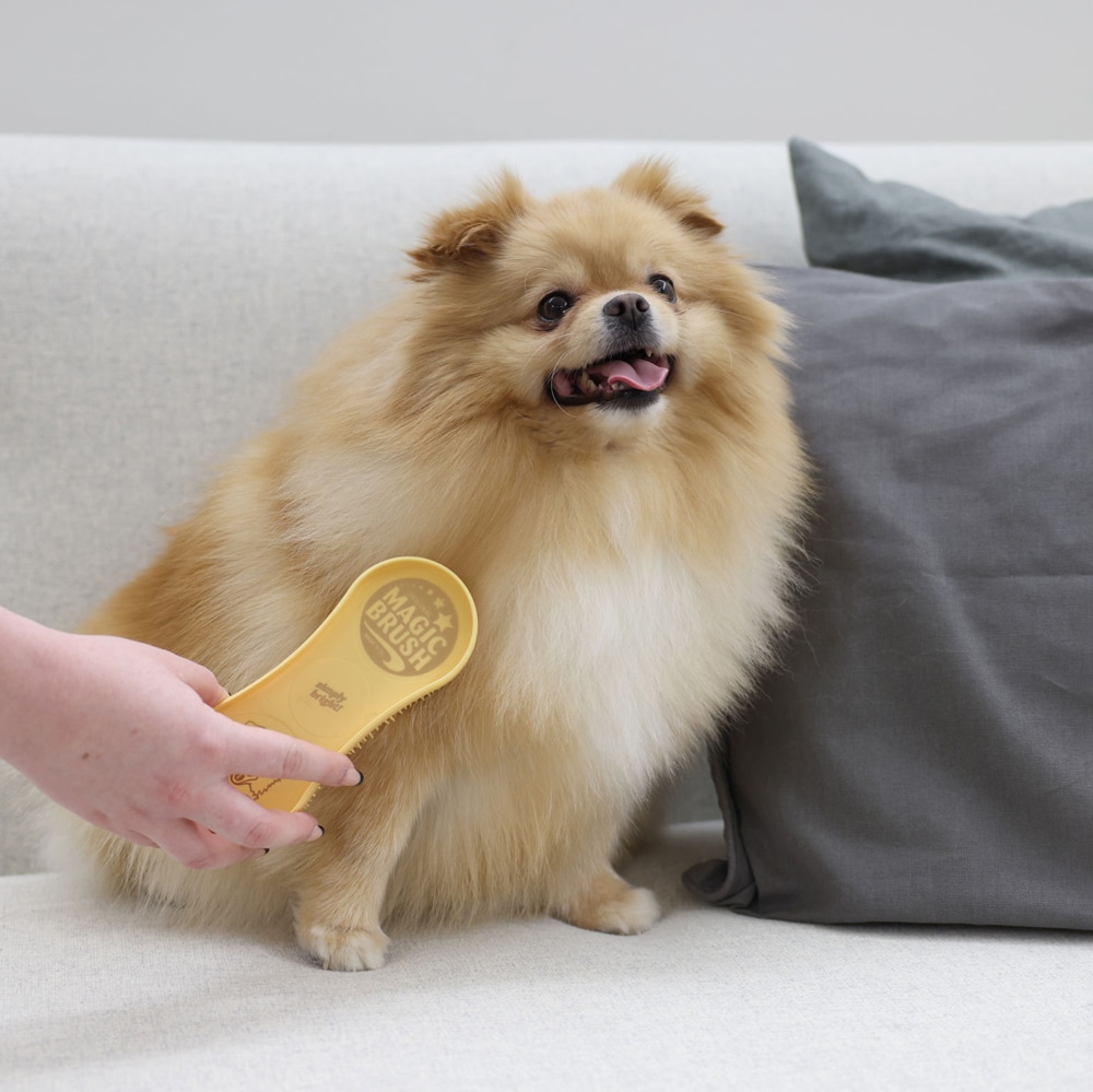 Plastikstrigle Hunde  Magic Brush