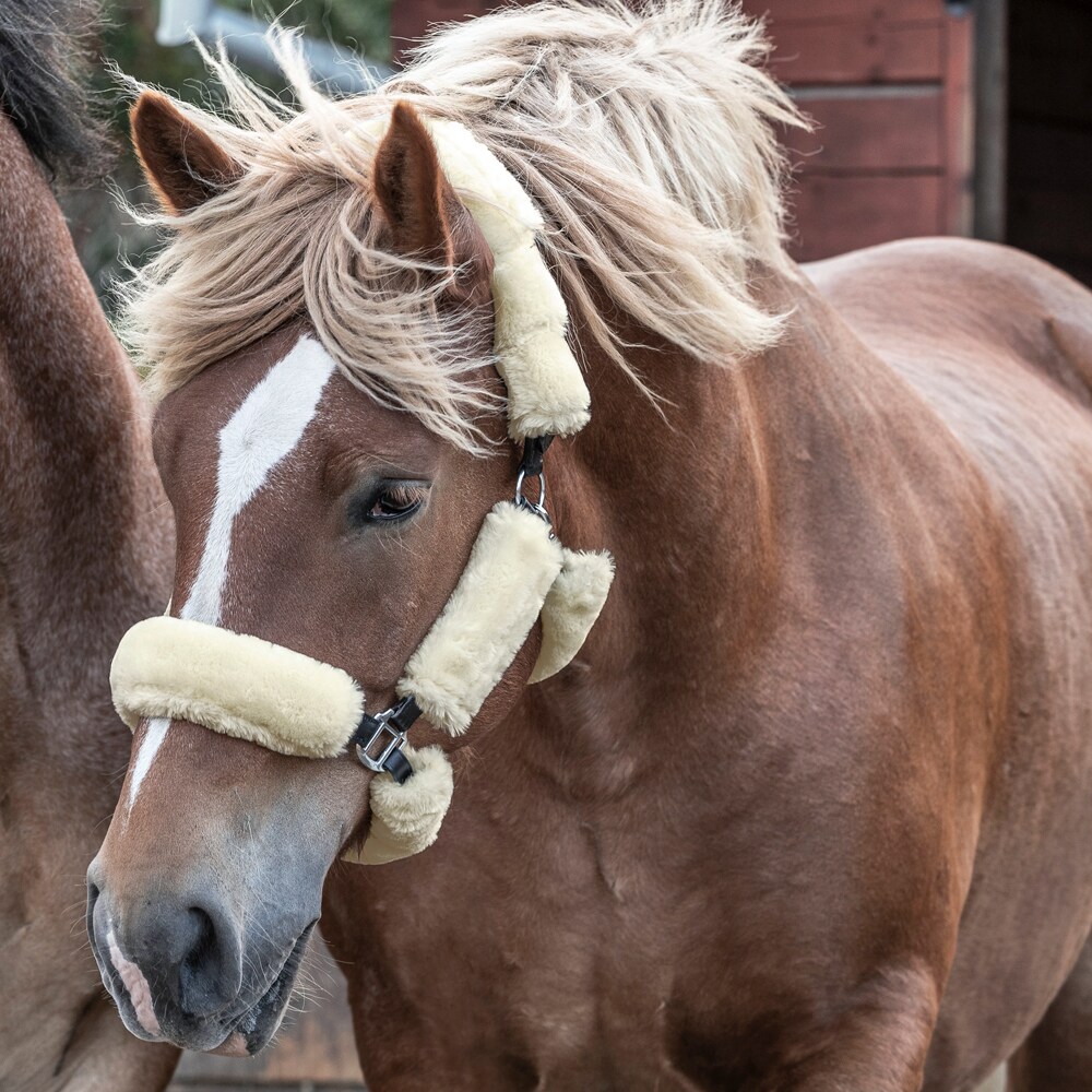 Teddysæt til grime  Fairfield®