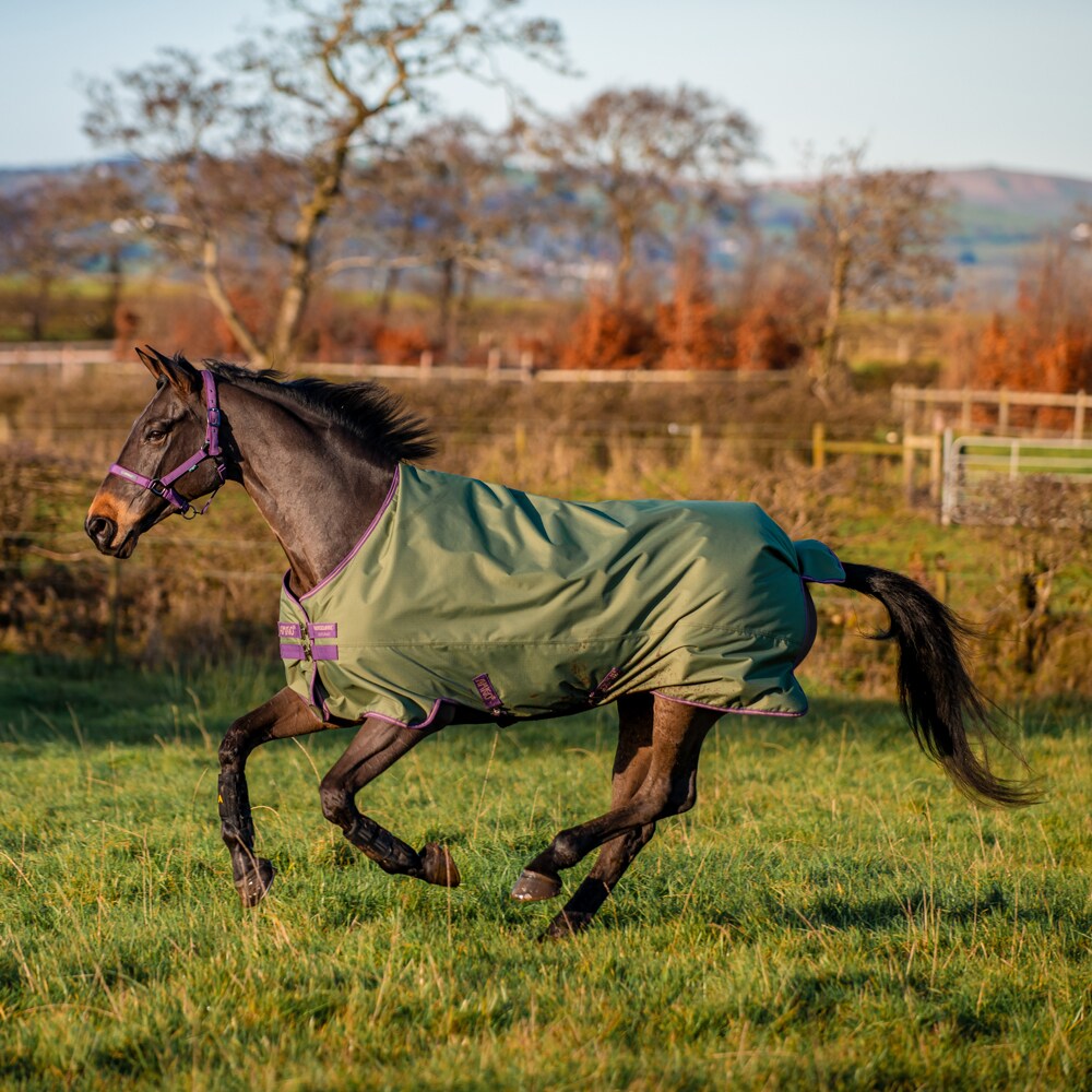 Regndækken  Amigo Hero Ripstop Lite Horseware®