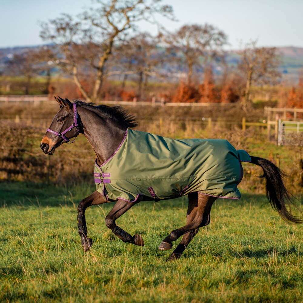 Udedækken  Amigo Hero Ripstop Plus 200 Horseware®