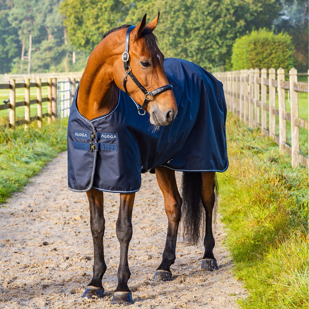 Regndækken  Turnout 0g Aloga Equestrian