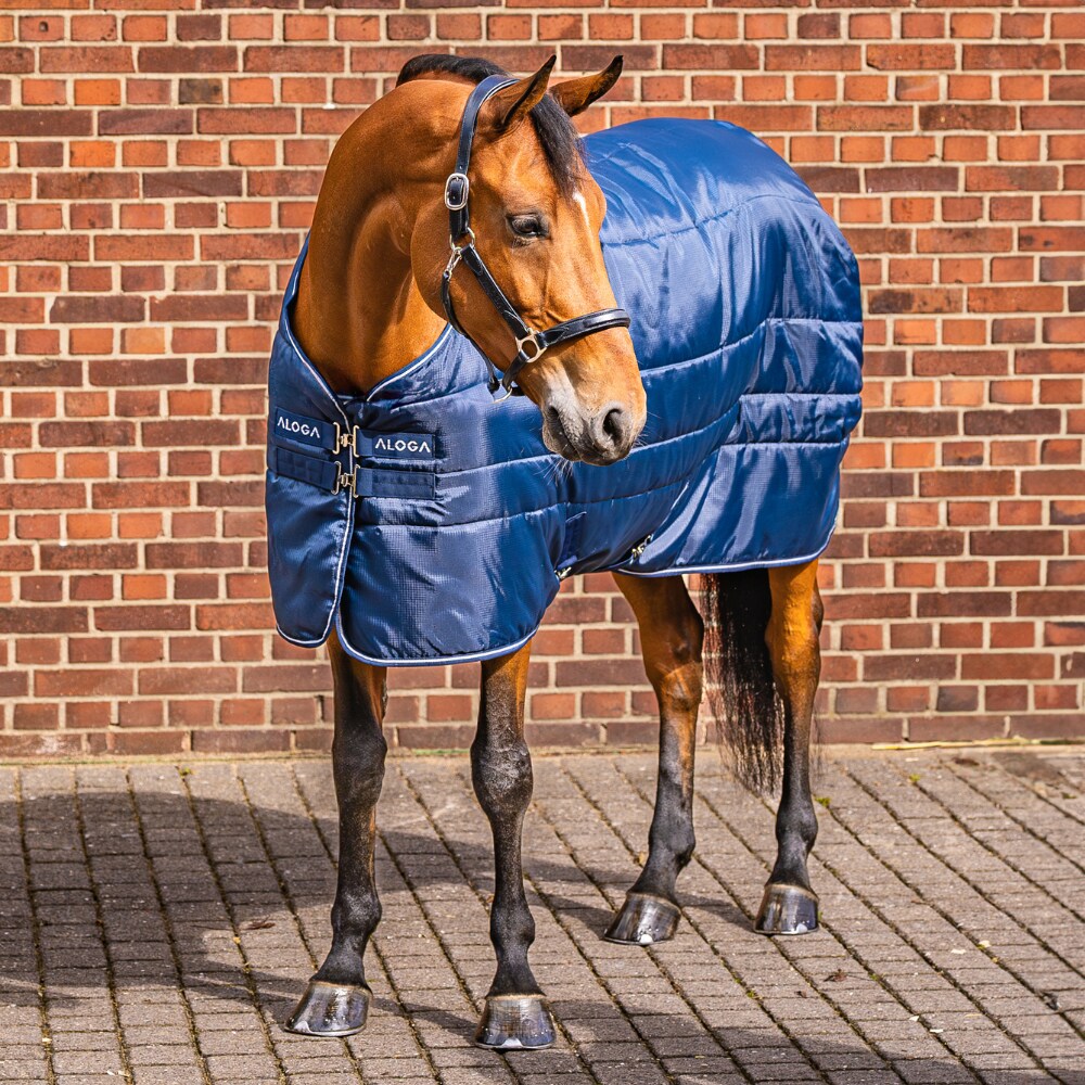 Stalddækken  Stable Blanket 150g Aloga Equestrian