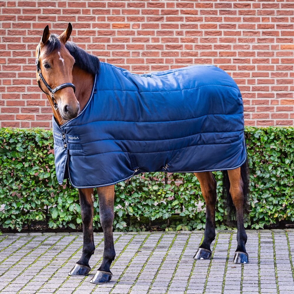 Stalddækken  Stable Blanket 150g Aloga Equestrian