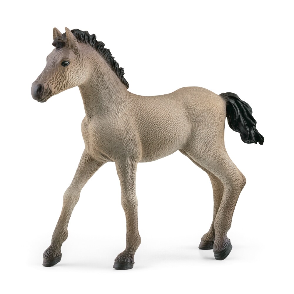 Legetøj  Criollo Definitivo Foal Schleich