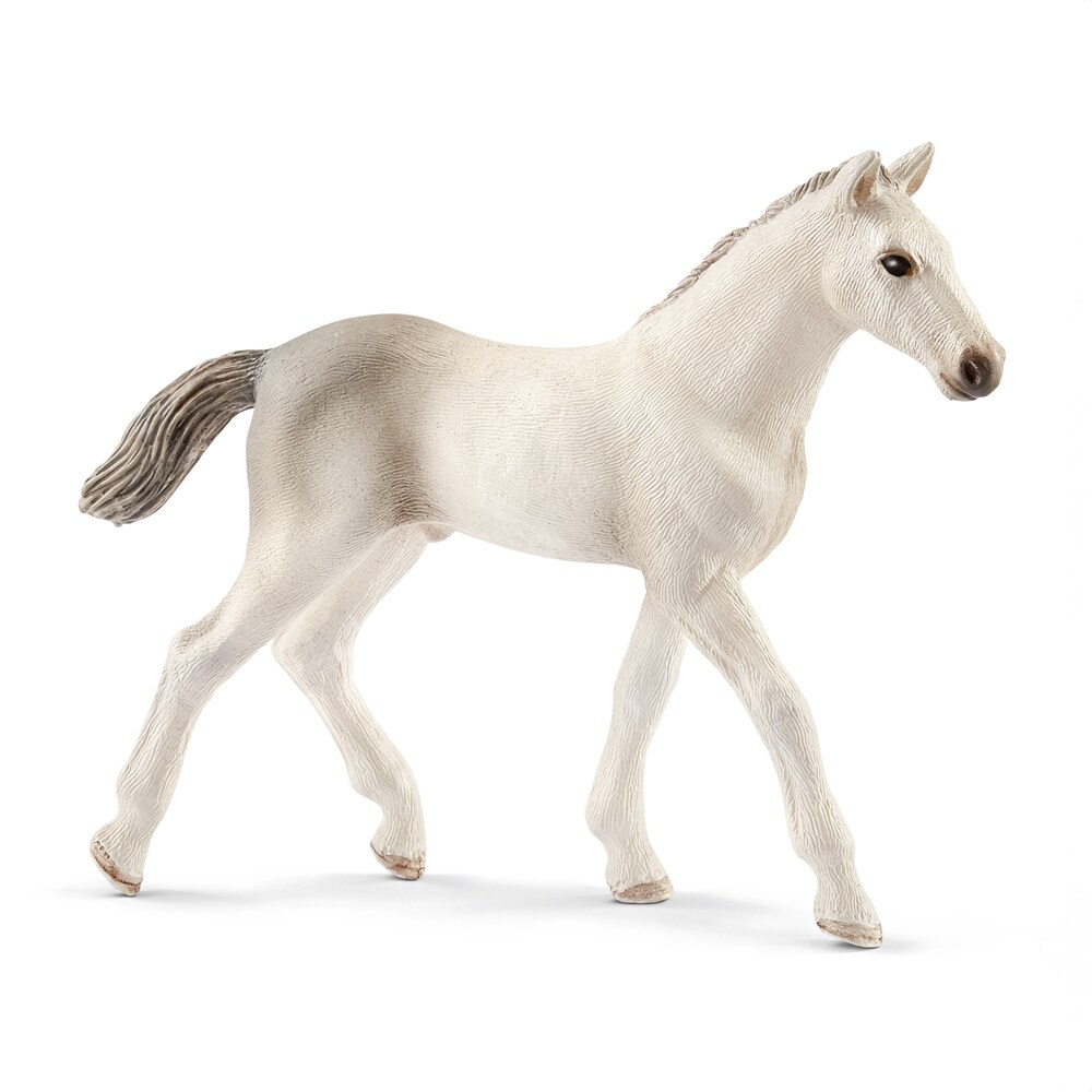 Legetøj  Holsteiner foal Schleich