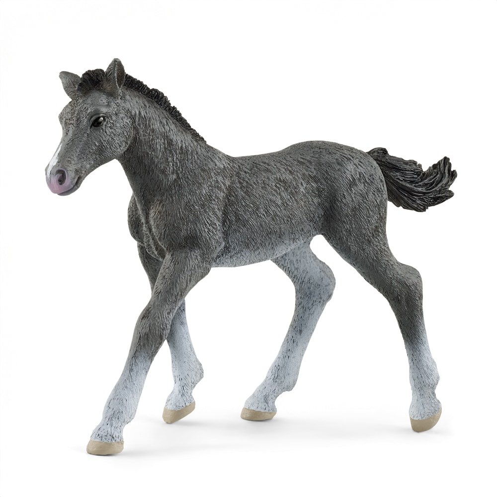 Legetøj  Trakehner Foal Schleich