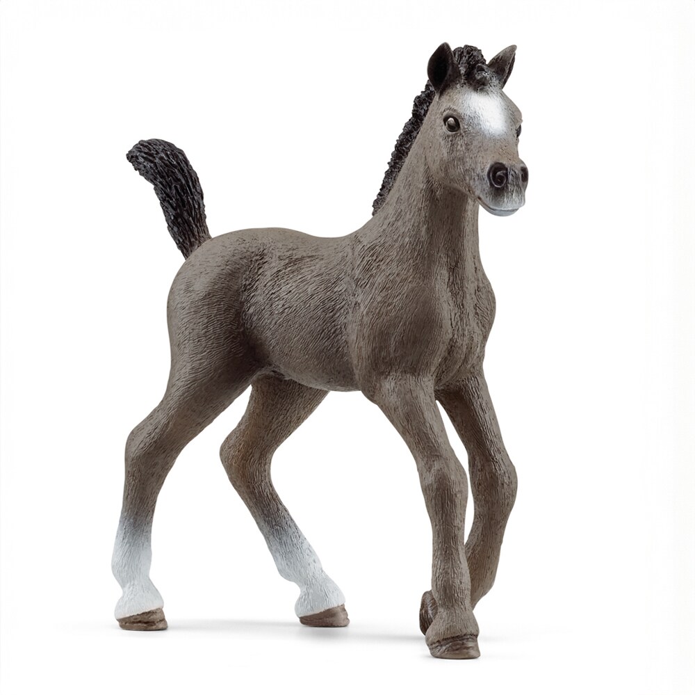 Legetøj  Cheval de Selle France foal Schleich