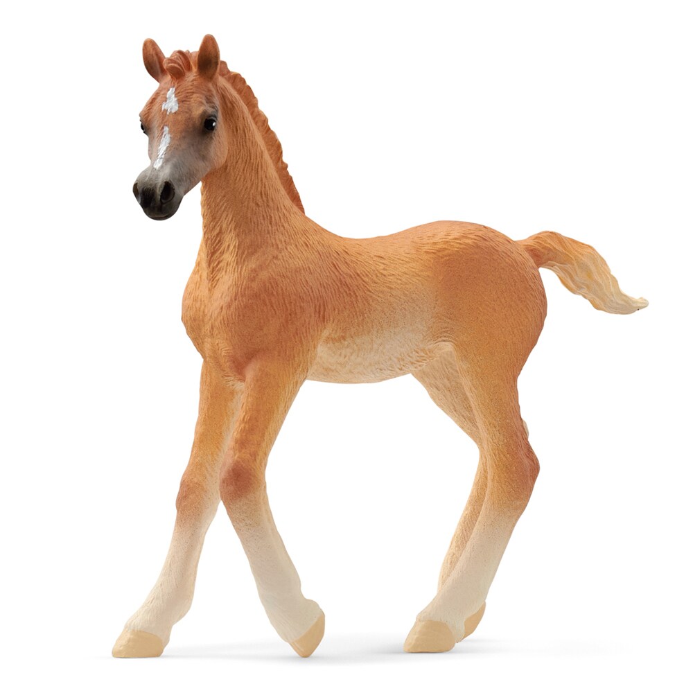 Legetøj  Arab foal Schleich