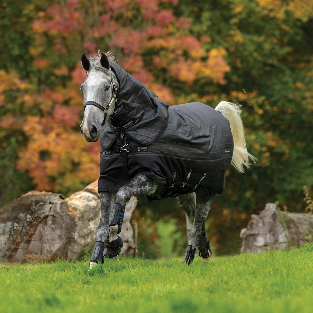 Vinterdækken 250 g Amigo Bravo 12 Reflectech Plus Turnout Horseware®