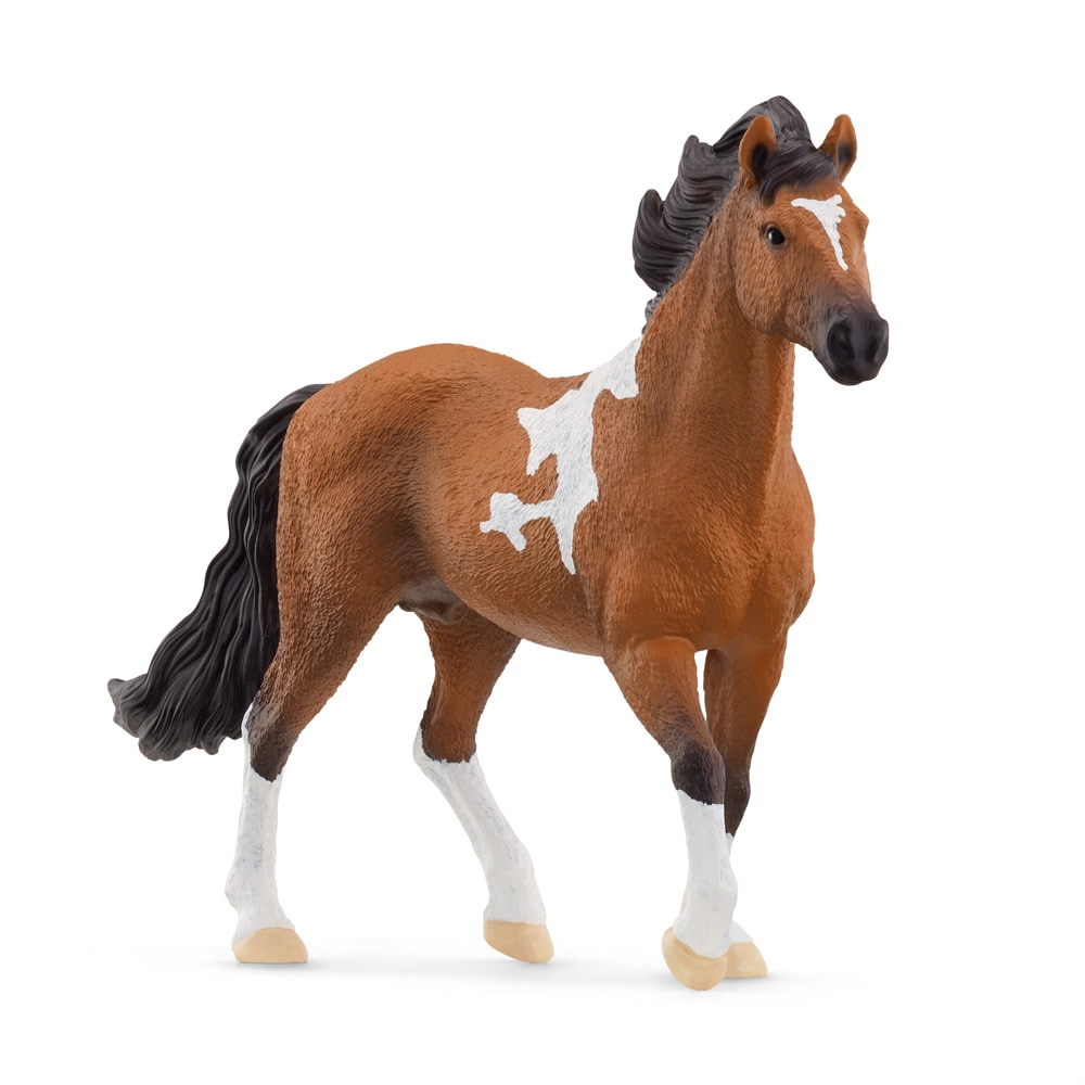 Legetøj  Mangalarga Marchador Stallion Schleich