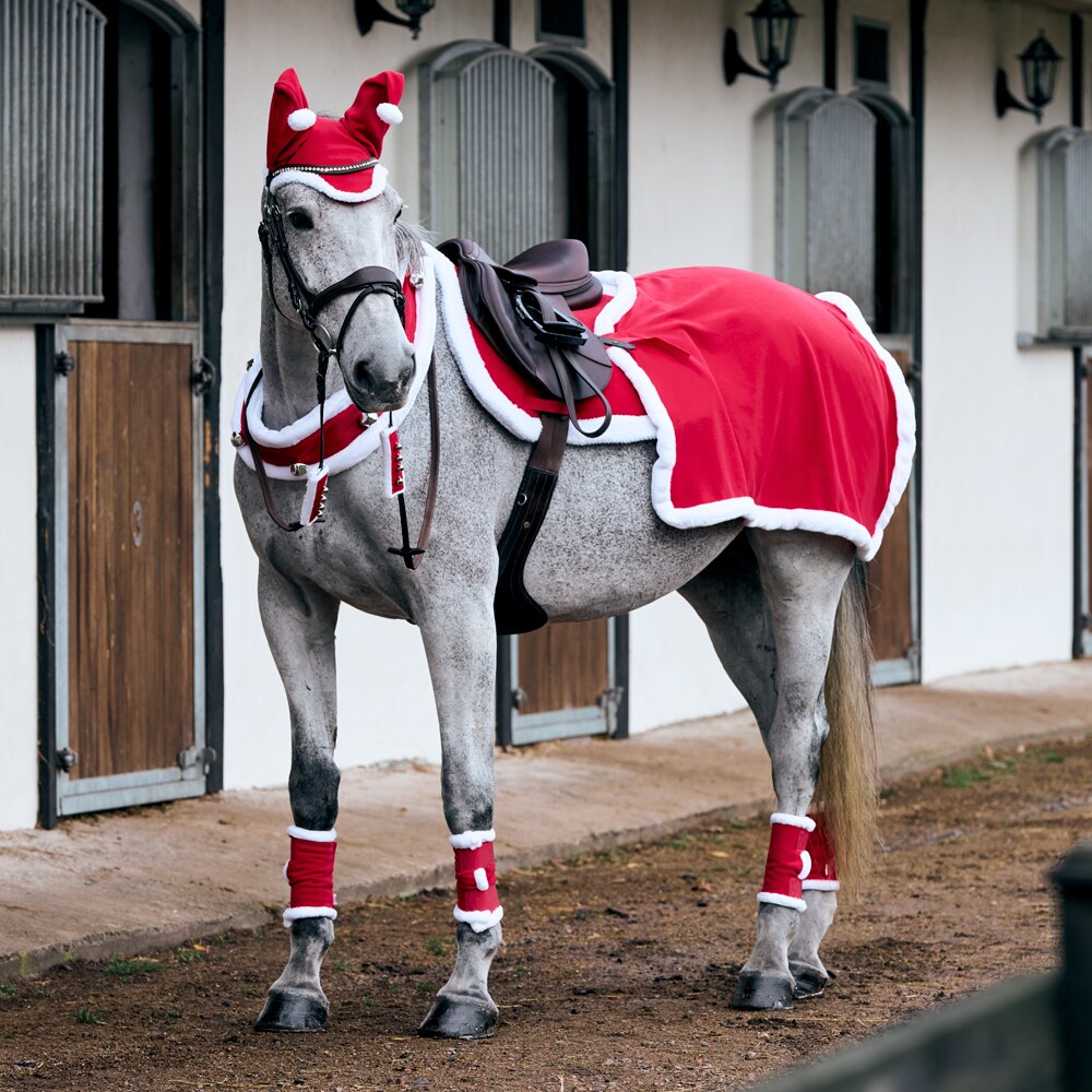 Bjældekrans  Blitzen CRW®